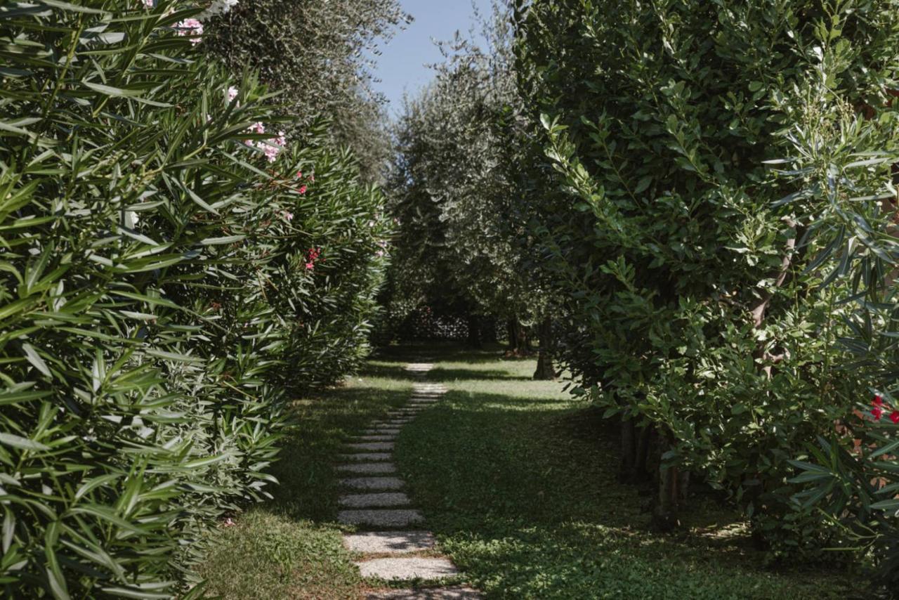 Minerva Holiday Home Manerba del Garda Esterno foto